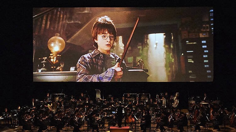 Tickets filmconcert Harry Potter, Tickets en Kaartjes, Twee personen