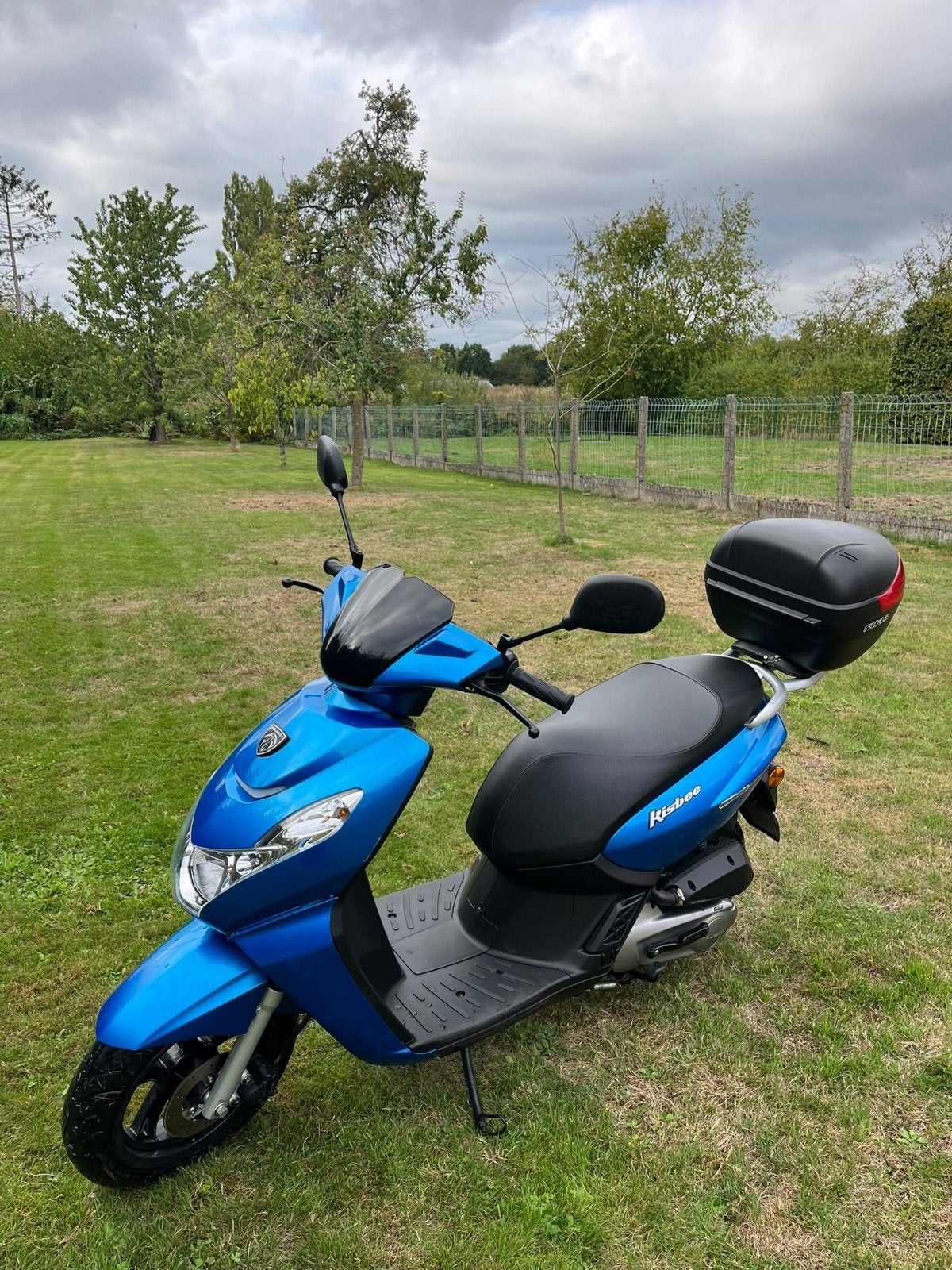 Peugeot Kisbee, 49 cm³, Comme neuf, Classe B (45 km/h), Enlèvement