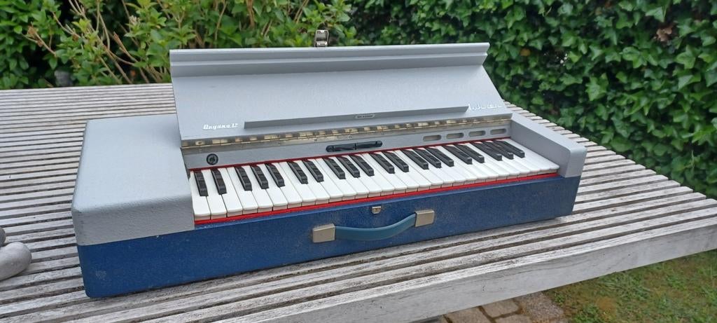 Hohner organa 12, Musique & Instruments, Orgues, Enlèvement