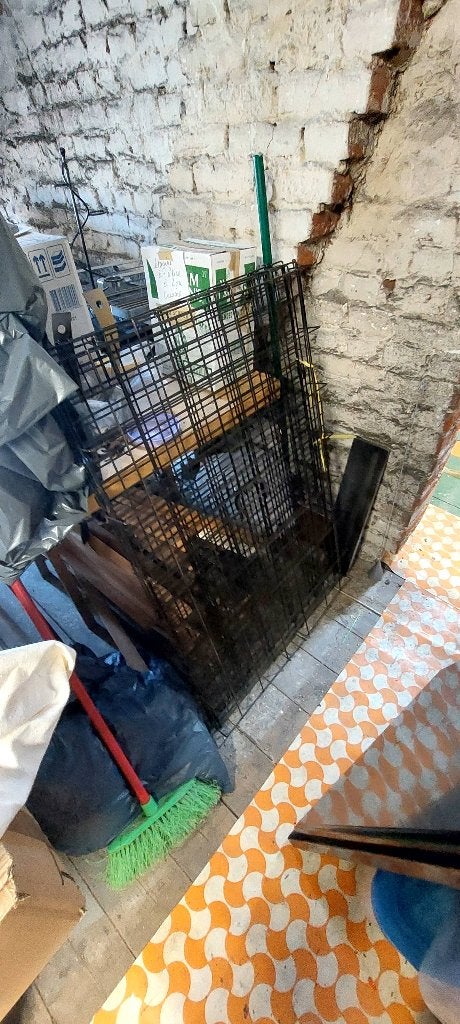 Cage chien xxl, 65 à 100 cm, Comme neuf, Enlèvement, Niche à chien