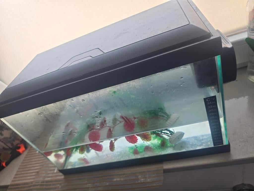 20 litr aquarium 40×25, Dieren en Toebehoren, Vissen | Aquaria en Toebehoren, Ophalen, Decoratie