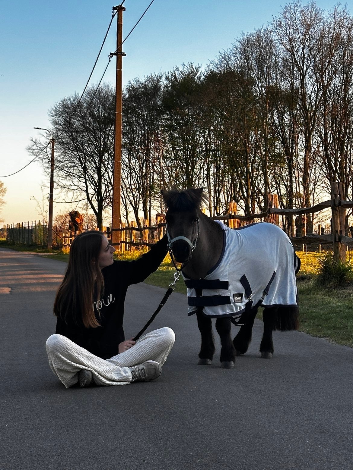 Lieve shetlander te koop, Dieren en Toebehoren, Pony's, Hengst, Niet van toepassing, 3 tot 6 jaar, Gechipt, Ontwormd, Ingeënt