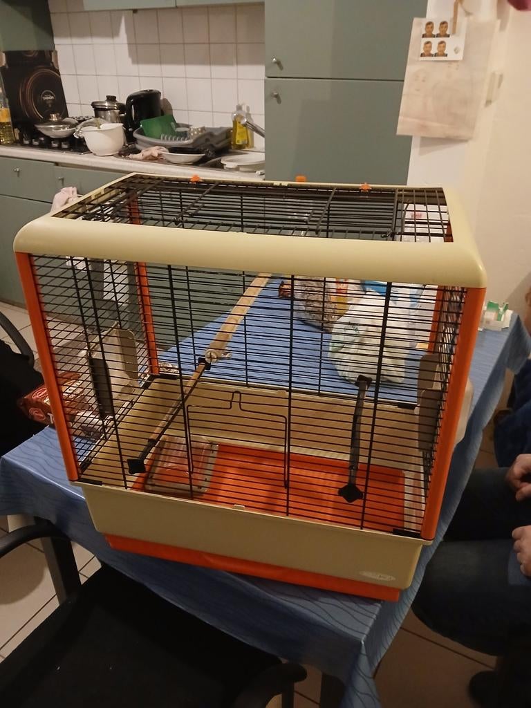 Vogelkooi te koop, Dieren en Toebehoren, Ophalen, Vogelkooi