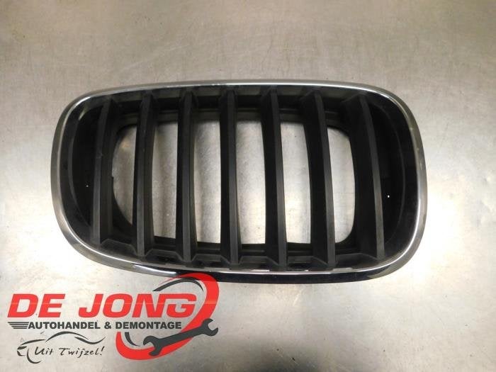 Calandre d'un BMW X5, -, 3 mois de garantie, Utilisé, -