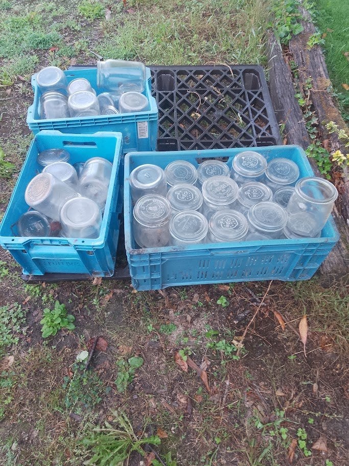 weckpotten, Ophalen, Zo goed als nieuw, Glas