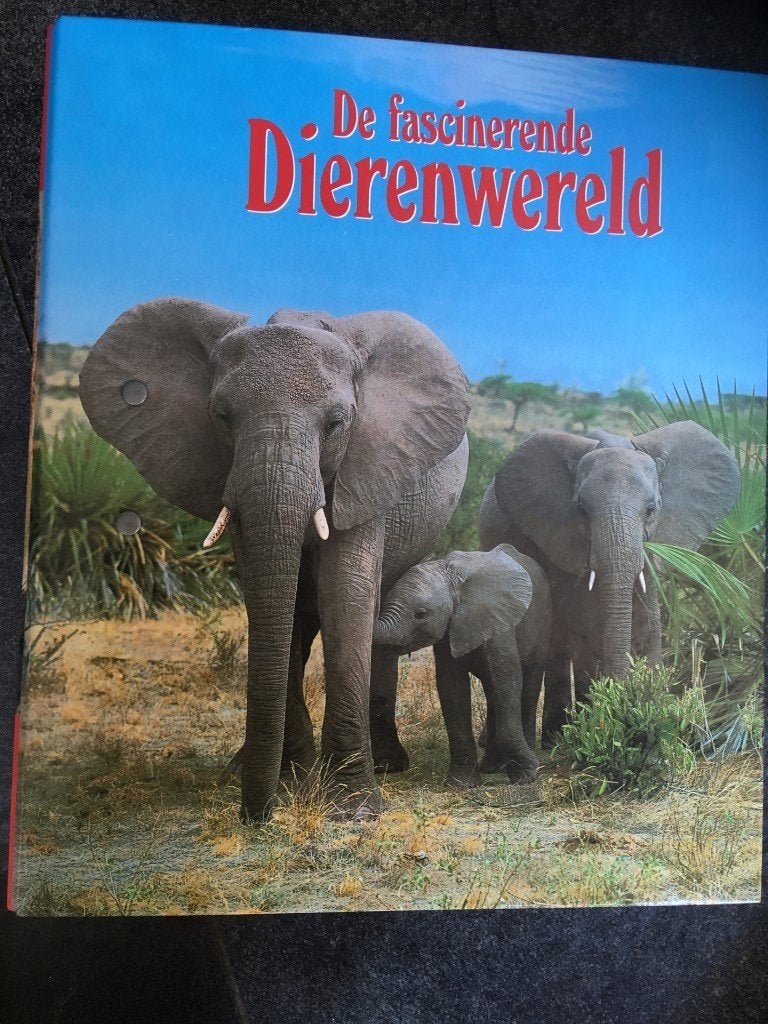 verzamelmap voor steekkaarten fascinerende dierenwereld, Ophalen of Verzenden