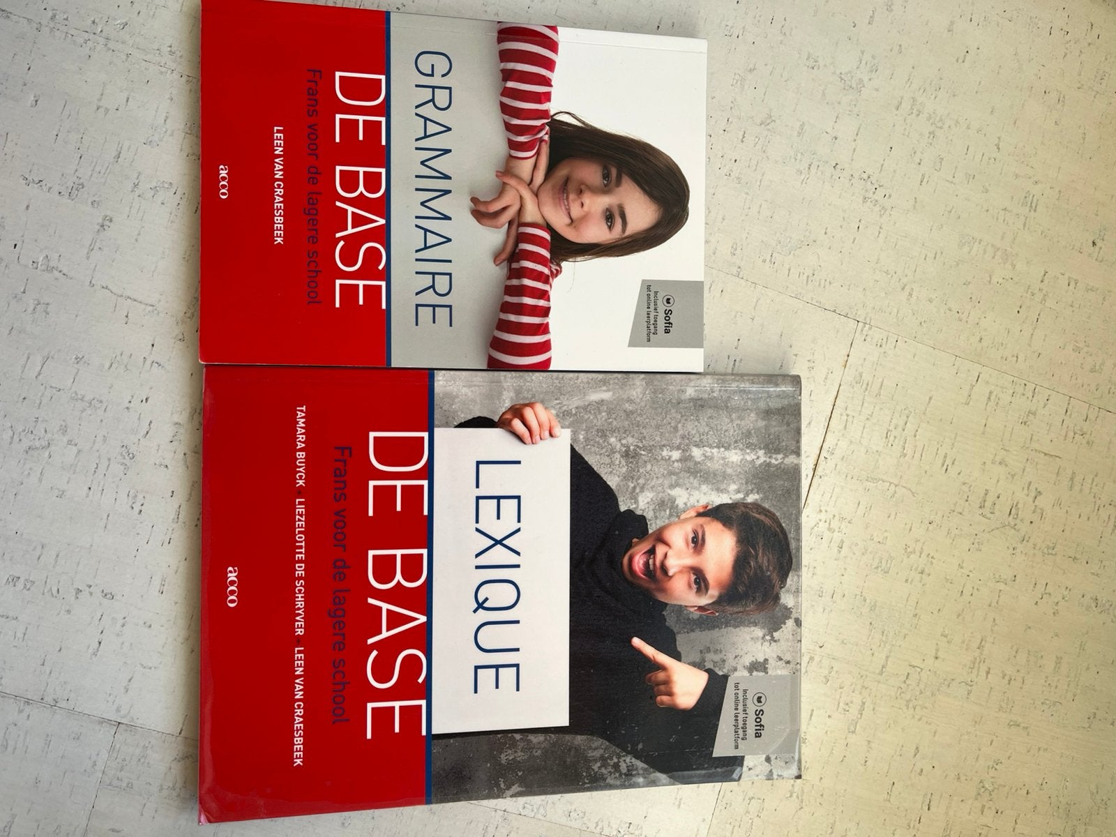 Lee Van Craesbeek - Grammaire + Lexique de base, Enlèvement, Lee Van Craesbeek