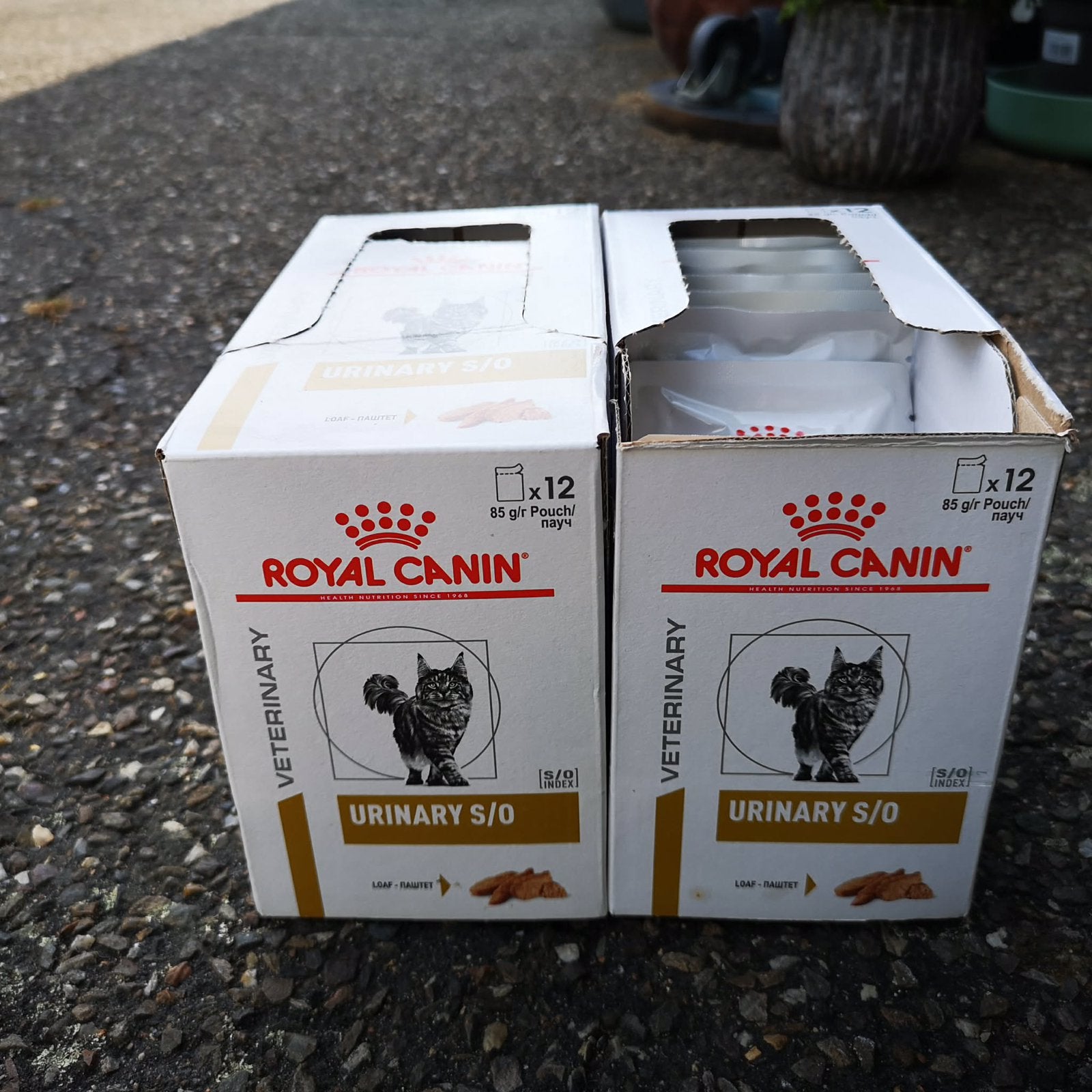 Royal Canin Urinary S/O kat - 20 pakjes, Dieren en Toebehoren, Dierenvoeding, Ophalen, Kat