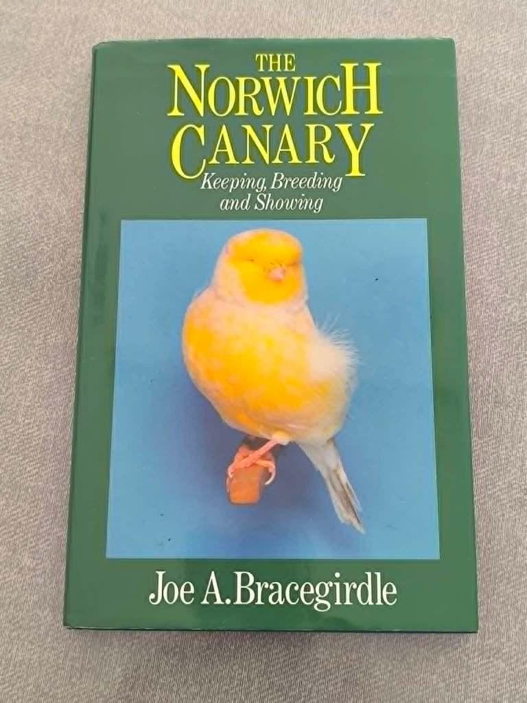de norwichkanarie leesboek, Animaux & Accessoires, Oiseaux | Canaris, Sexe inconnu, Canari de posture
