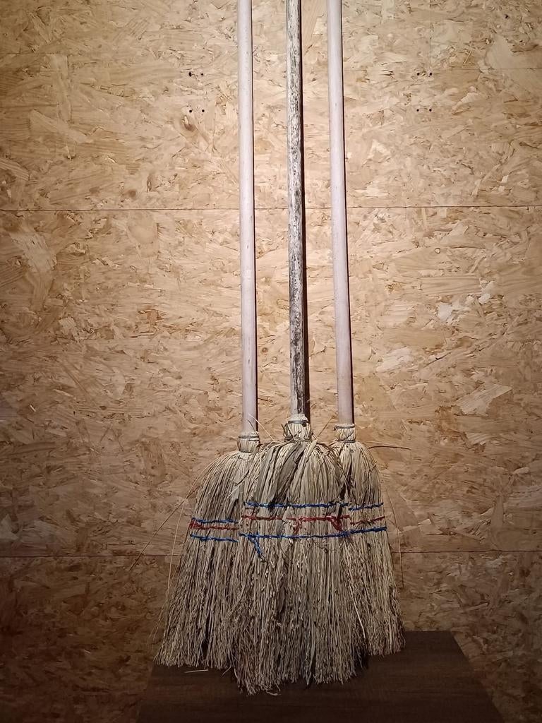 Balai en paille, Jardin & Terrasse, Enlèvement ou Envoi, Neuf, Balai, Sans marque