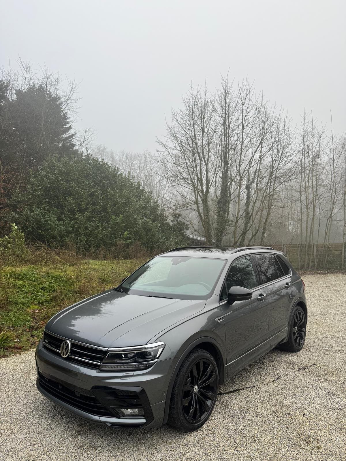 Volkswagen Tiguan 2.0 TDİ SCR Plantinum DSG bluemotion, 4 cilinders, Leder, 5 deurs, Particulier