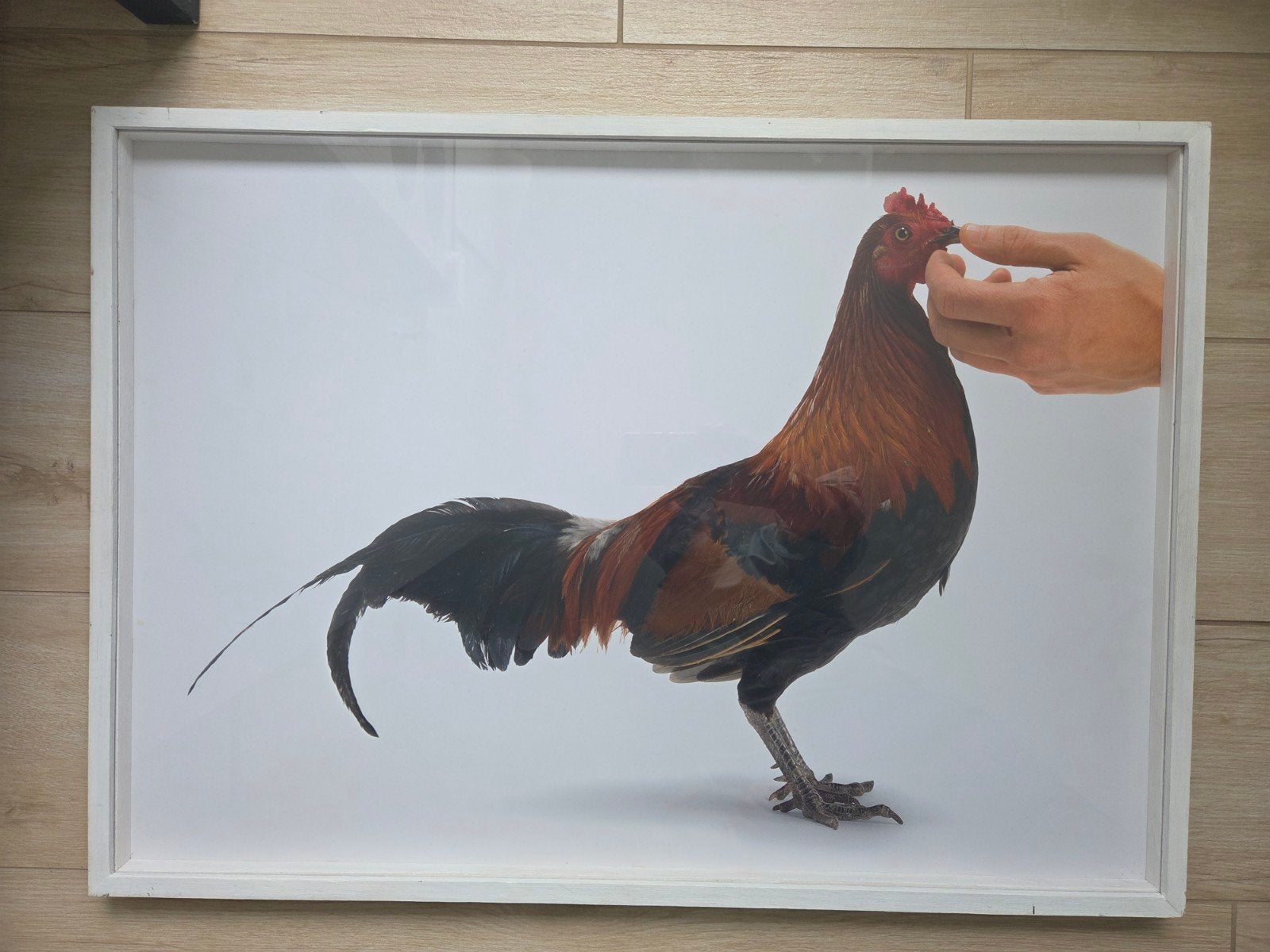 Koen van Mechelen Feeding Chicken, Antiek en Kunst, Kunst | Litho's en Zeefdrukken, Ophalen of Verzenden