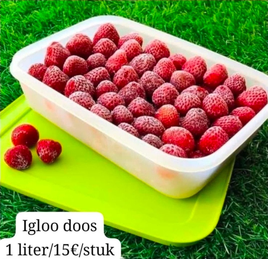 Tupperware igloo doos 1 liter, Ophalen of Verzenden, Nieuw
