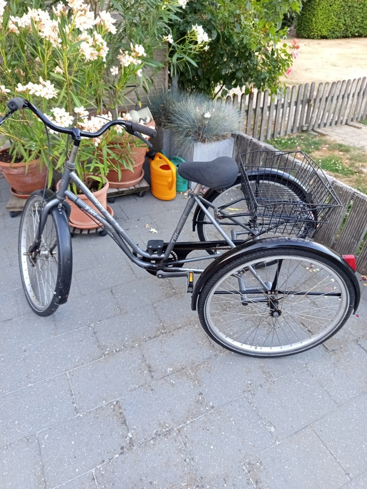 driewieler, Fietsen en Brommers, Fietsen | Driewielfietsen, Ophalen