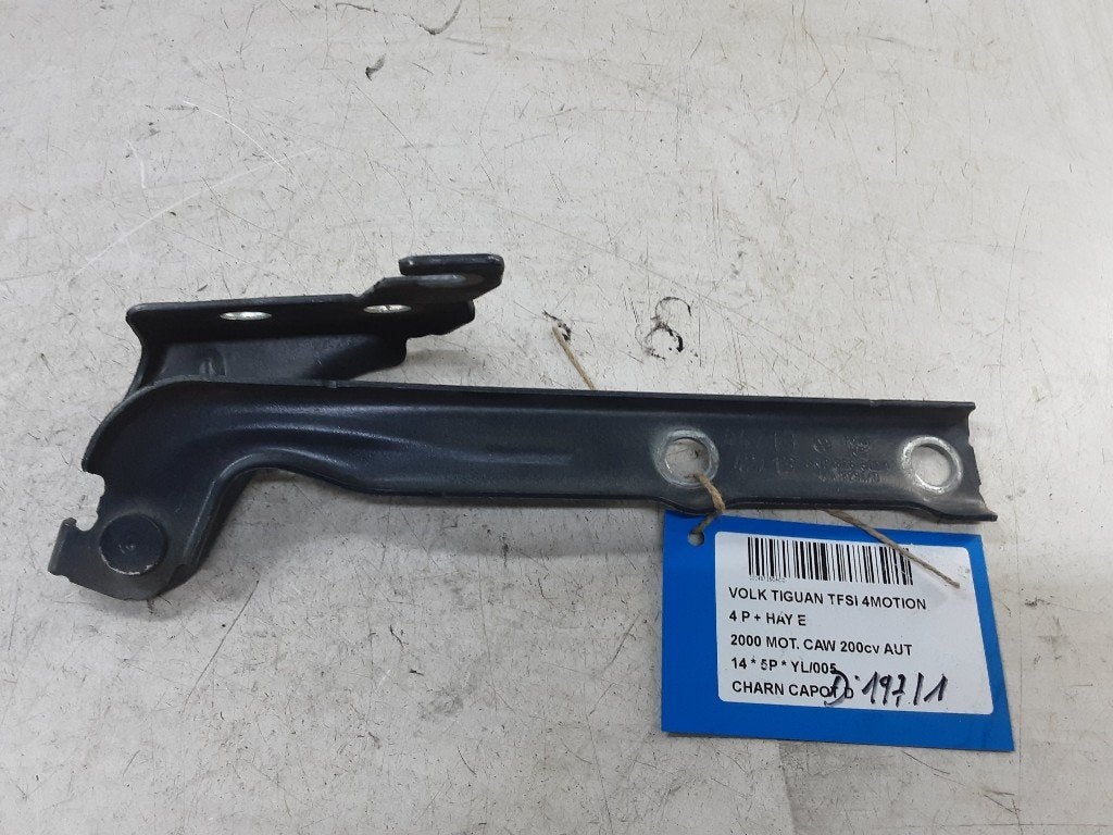CHARNIERE DE CAPOT DROIT Tiguan (5N1 / 2) (5N0823302A), Volkswagen, Mevr. I. Hauben, Utilisé, Rue de l'Espoir 34 34
4030  GRIVEGNÉE, BE
