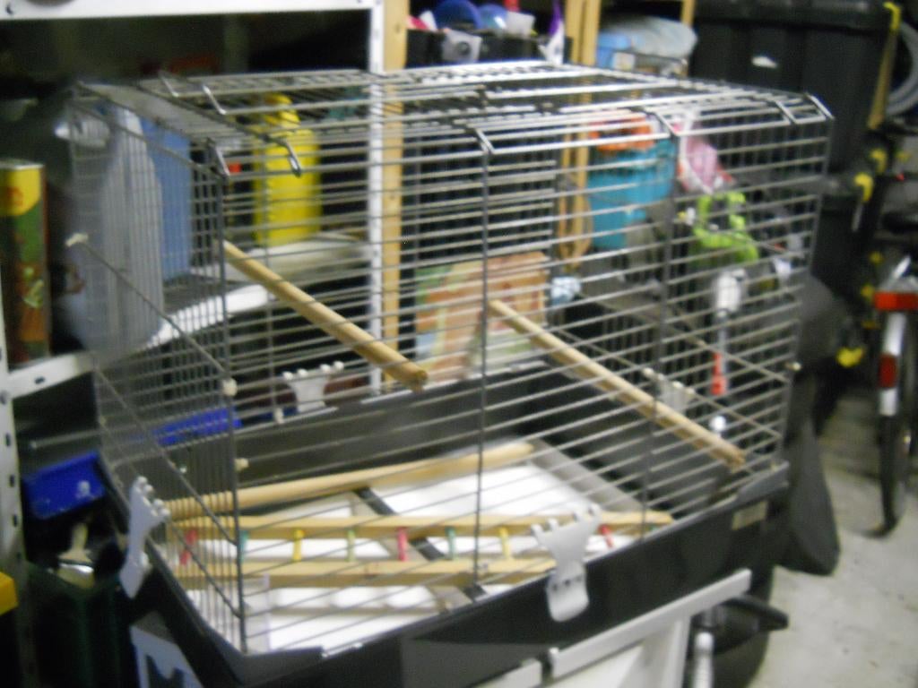 Cage pour oiseaux, Enlèvement, Utilisé, Métal, Cage à oiseaux