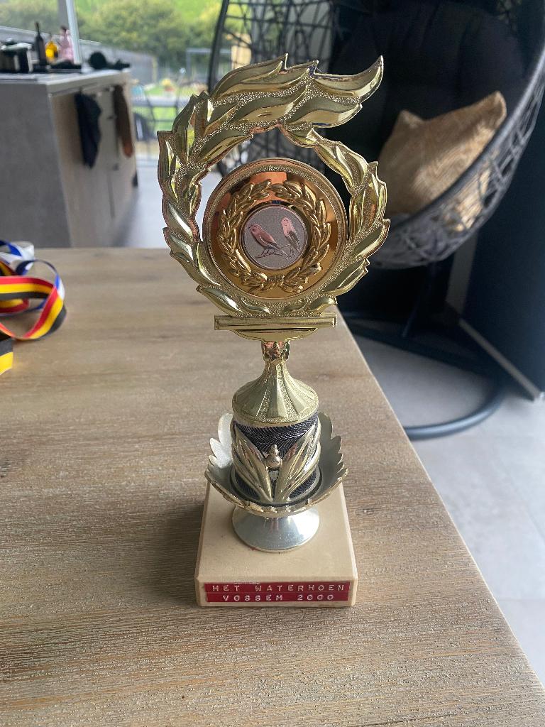 Trofee, Ophalen of Verzenden