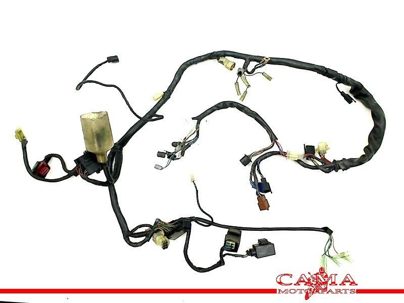 KABELBOOM Honda CBF 600 2004-2006 (CBF600N CBF600S PC38), Dhr. S. di Majo, Gebruikt, Info@cama-motorparts.nl, P.J. Troelstraweg 8 8
3144 CX  MAASSLUIS, NL