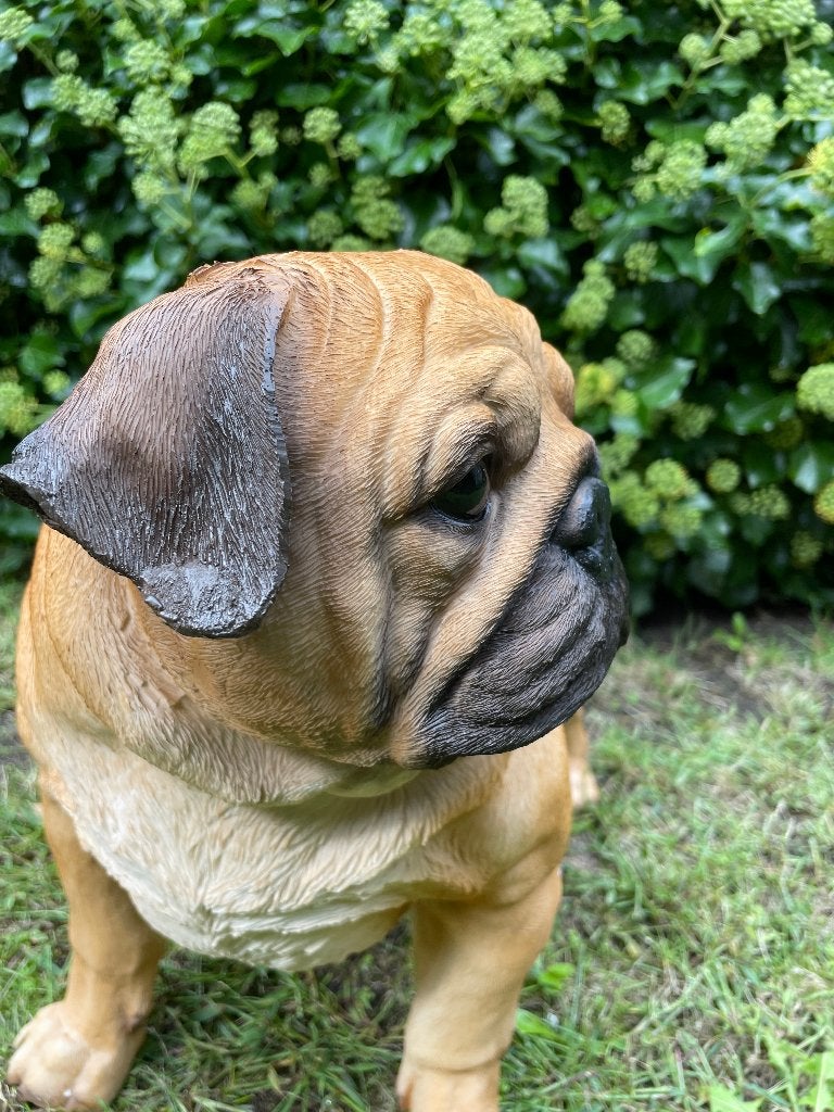 Mops hondje staand, gazon tuin 50cm, Ophalen, Nieuw, Kunststof, Dierenbeeld