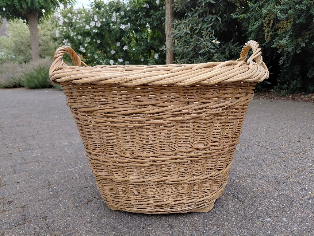 Grote rieten mand, Osier, Tressé, Enlèvement, Ovale