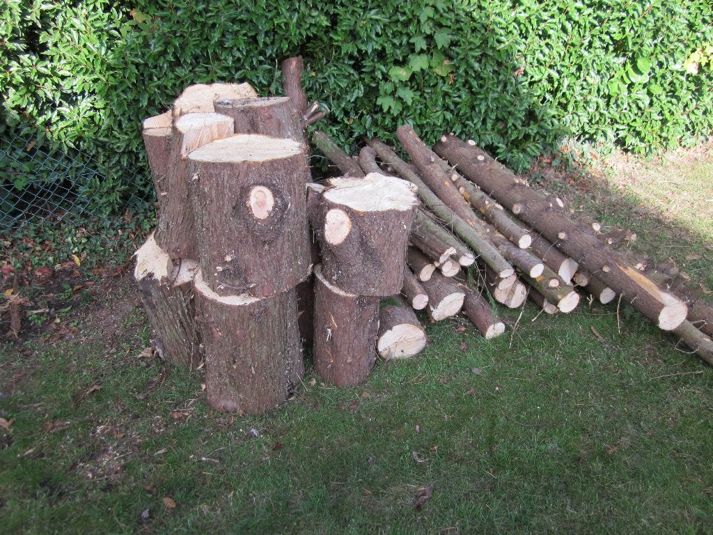 Buches de bois - GRATUIT, Jardin & Terrasse, Moins de 3 m³, Enlèvement, Bûches