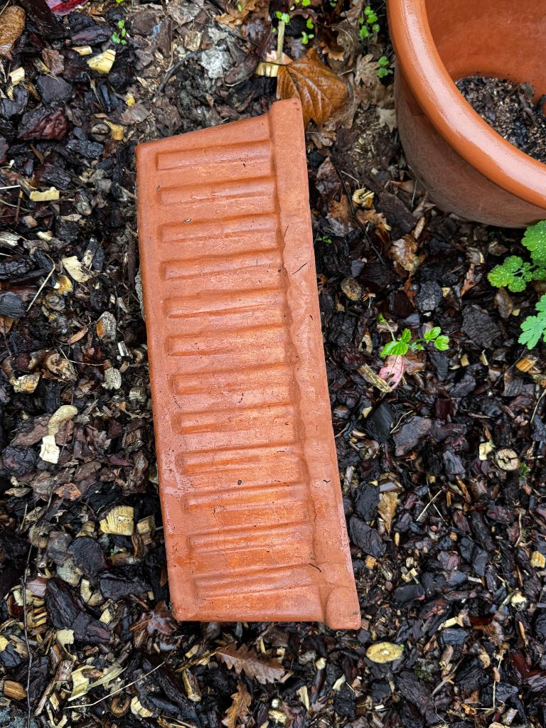 Terracotta bloempot, Ophalen, Terracotta, Balkon