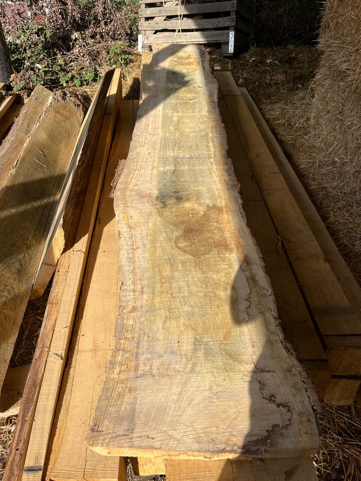 Schaaldeel inlandse eik 3,20m 45cm breed 50mm dik, Ophalen of Verzenden, Zo goed als nieuw