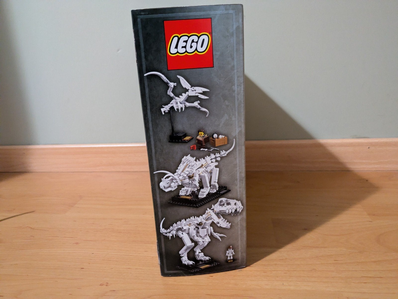 LEGO Ideas Dinosaur Fossils (21320) – 100% Compleet, Kinderen en Baby's, Lego, Ophalen of Verzenden, Compleet, Complete set