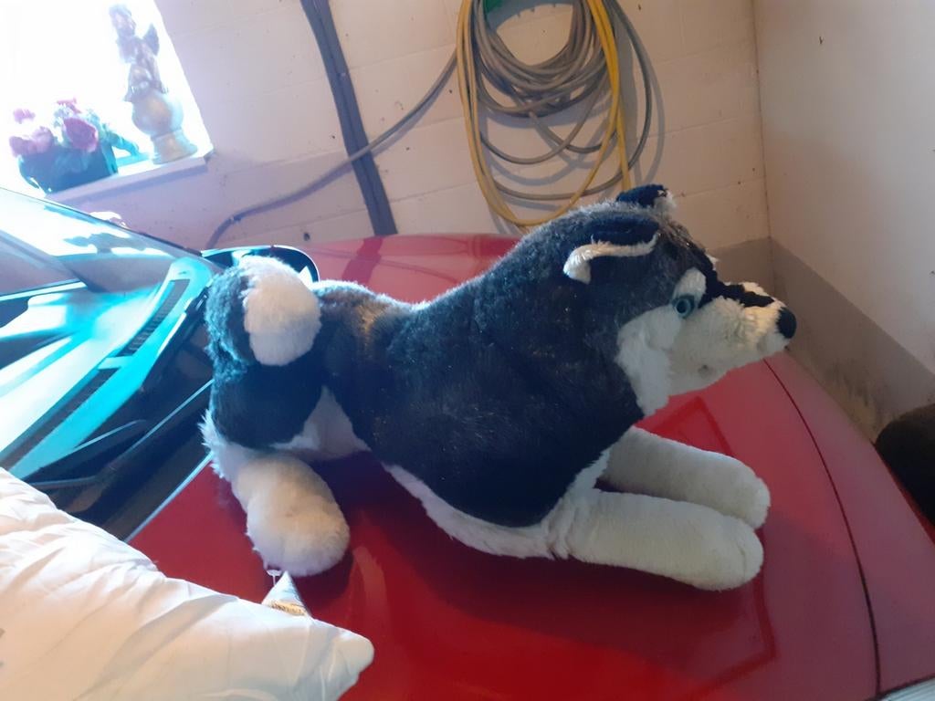 Peluche gd loup, Enfants & Bébés, Enlèvement