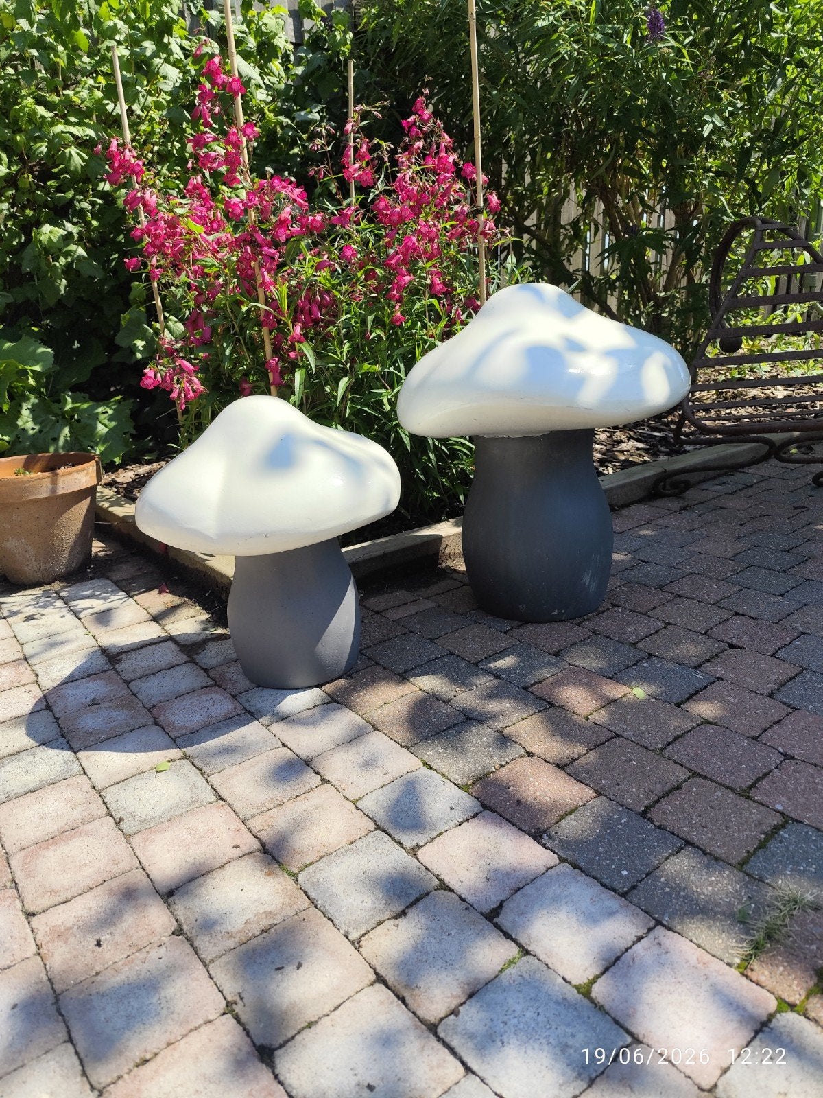 Lot de 2 champignons XL 48 cm sur 40 cm