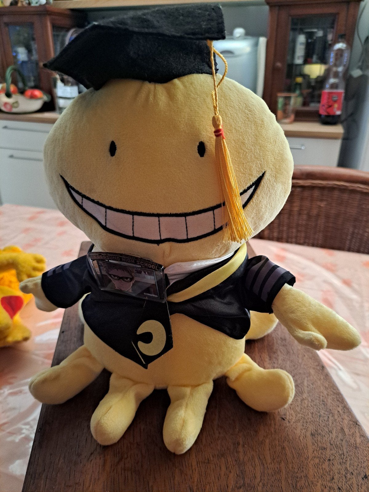 peluche, Enlèvement ou Envoi