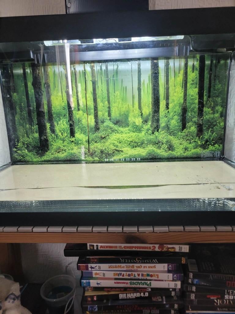 aquarium de 54 l avec accesoir. maison non fumeur. lire svp, Aquarium d'eau douce rempli, Comme neuf, Enlèvement, Pompe