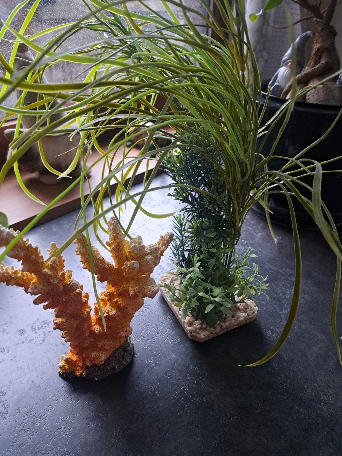aquarium deco, Dieren en Toebehoren, Ophalen