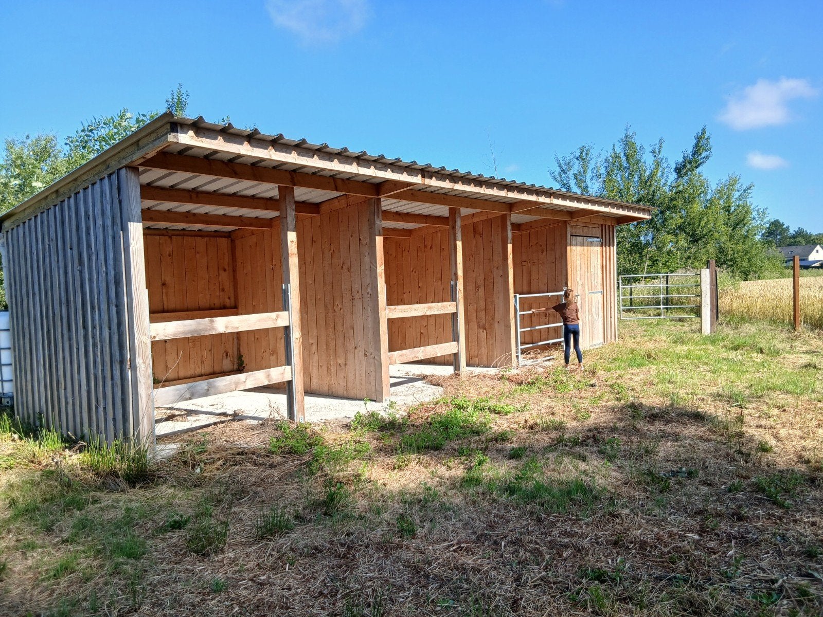 Stallen te huur regio Hofstade bij Zemst, Animaux & Accessoires, Box & Pâturages