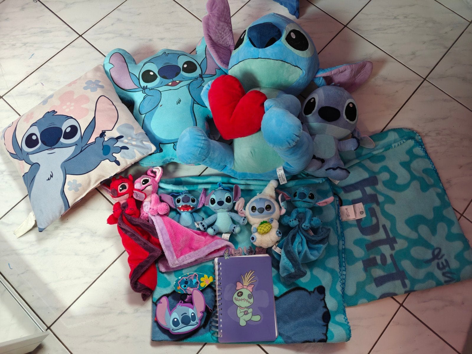 gros lot de Stitch, Enlèvement