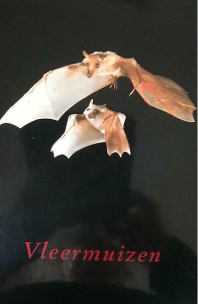 Vleermuizen, Voute A, Ophalen of Verzenden, Overige diersoorten