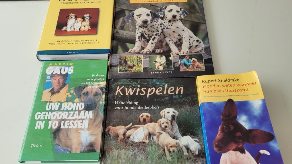 5 VERSCHILLENDE BOEKEN OVER HONDEN, Boeken, Ophalen of Verzenden, Zo goed als nieuw, Honden