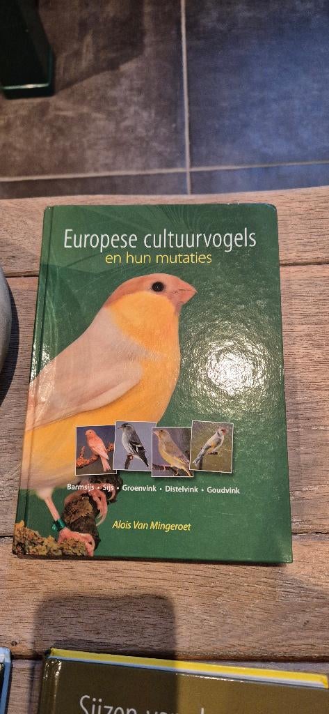 europese cultuurvogels en hun mutaties, Enlèvement, Comme neuf, Autres types