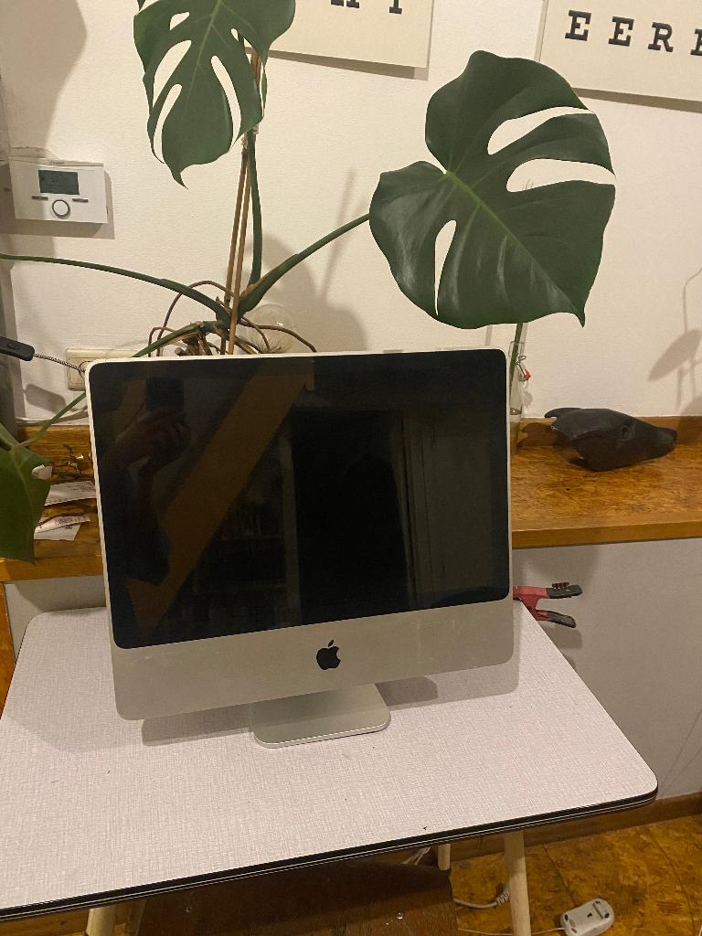 Mac 2009, Computers en Software, Ophalen, Gebruikt, Overige modellen