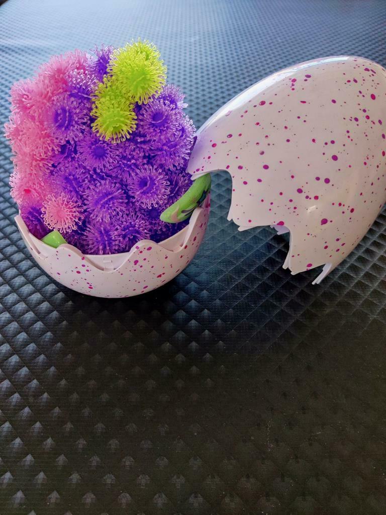 Bouquets d'œufs de dinosaure, Enlèvement ou Envoi, Comme neuf