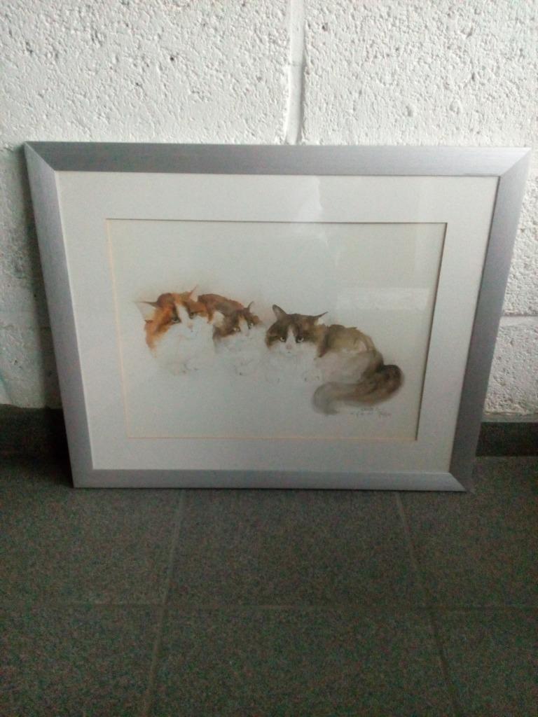 Kader met prent, katten, poezen, Enlèvement