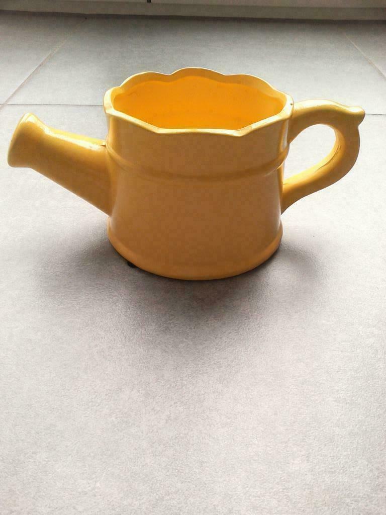 Arrosoir. Déco, Jardin & Terrasse, Neuf, Enlèvement ou Envoi, Moins de 25 cm, Intérieur