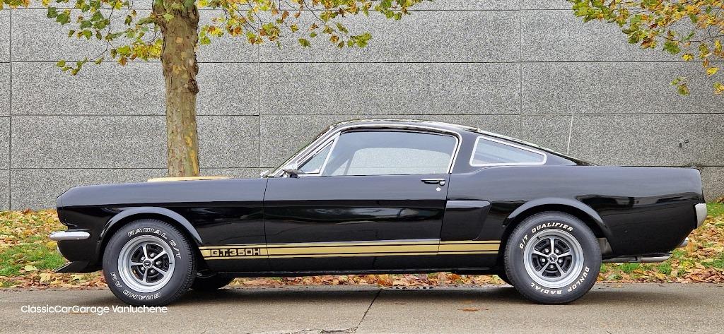 Mustang Shelby GT350H tribute, 4 zetels, Achterwielaandrijving, Zwart, Bedrijf