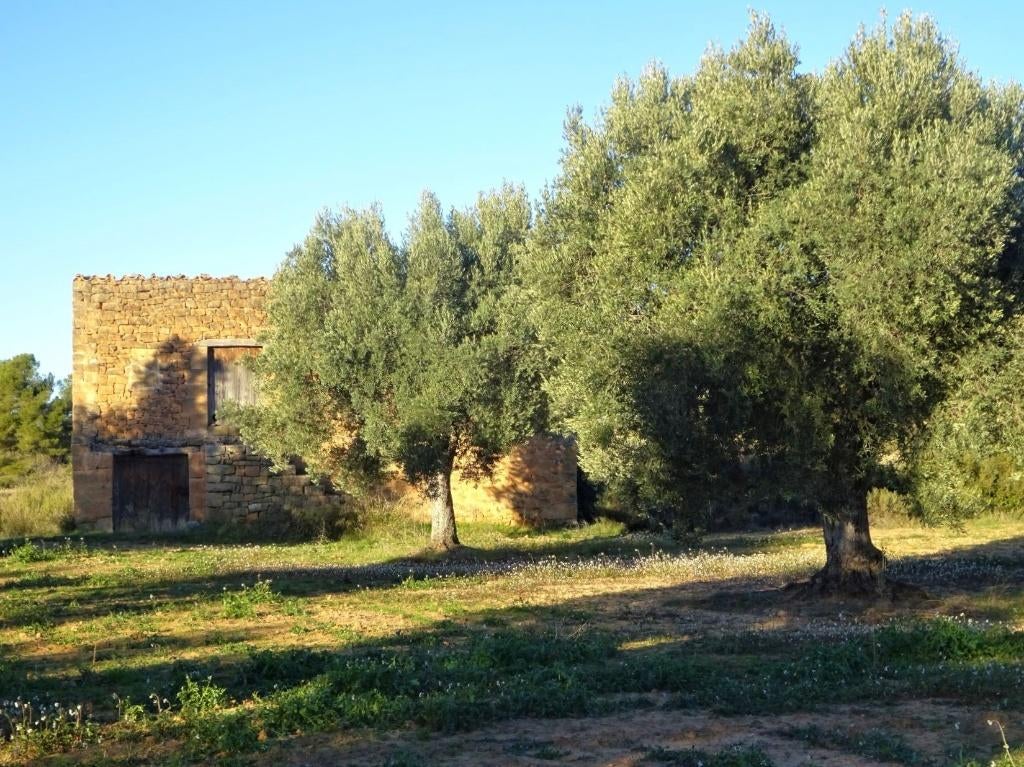 Finca in Maella (Aragón, Spanje) - 1087, 100 m², Woonhuis, Spanje, Landelijk