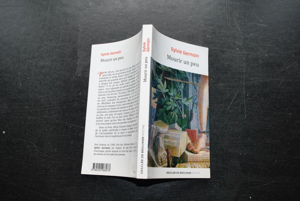 SYLVIE GERMAIN MOURIR UN PEU RELIGION PHILOSOPHIE PHILO MORT, Enlèvement ou Envoi, Utilisé, Autres sujets/thèmes, SYLVIE GERMAIN