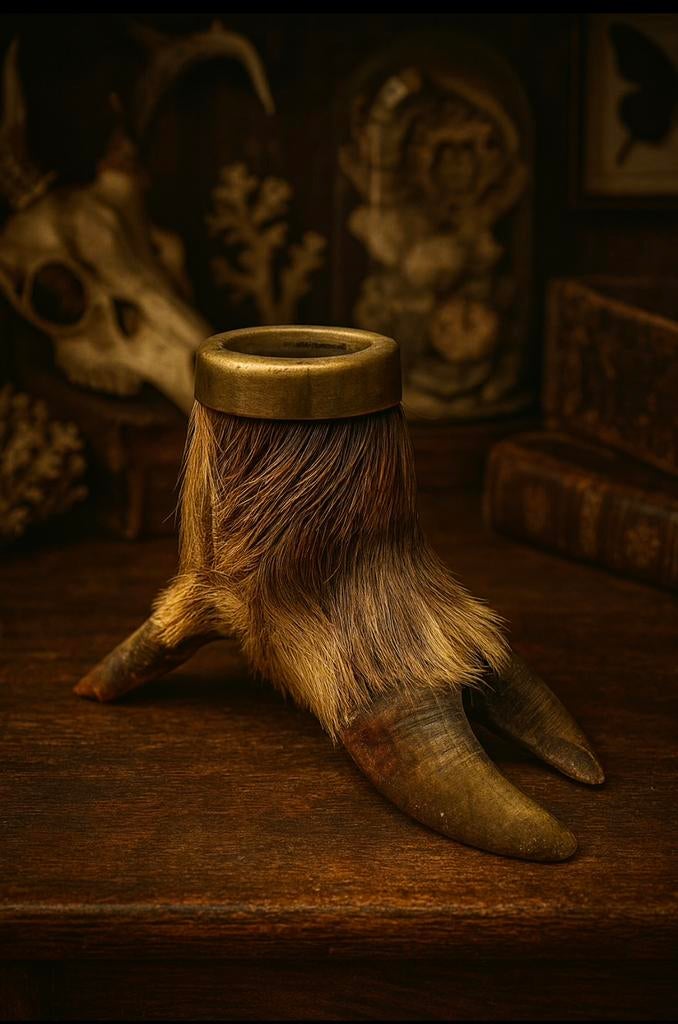 antiek taxidermie vervaardigd uit een echte zwijnvoet., Ophalen of Verzenden