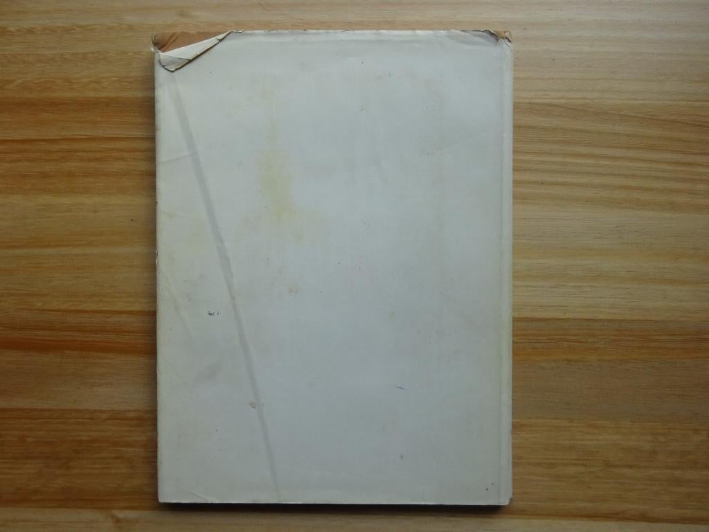 Graciela Rodo Boulanger 1973 monographie + 4 litho's, Ophalen of Verzenden, Gelezen, Schilder- en Tekenkunst