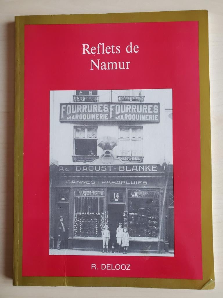 Reflets de Namur - R. Delooz, Enlèvement ou Envoi, Utilisé