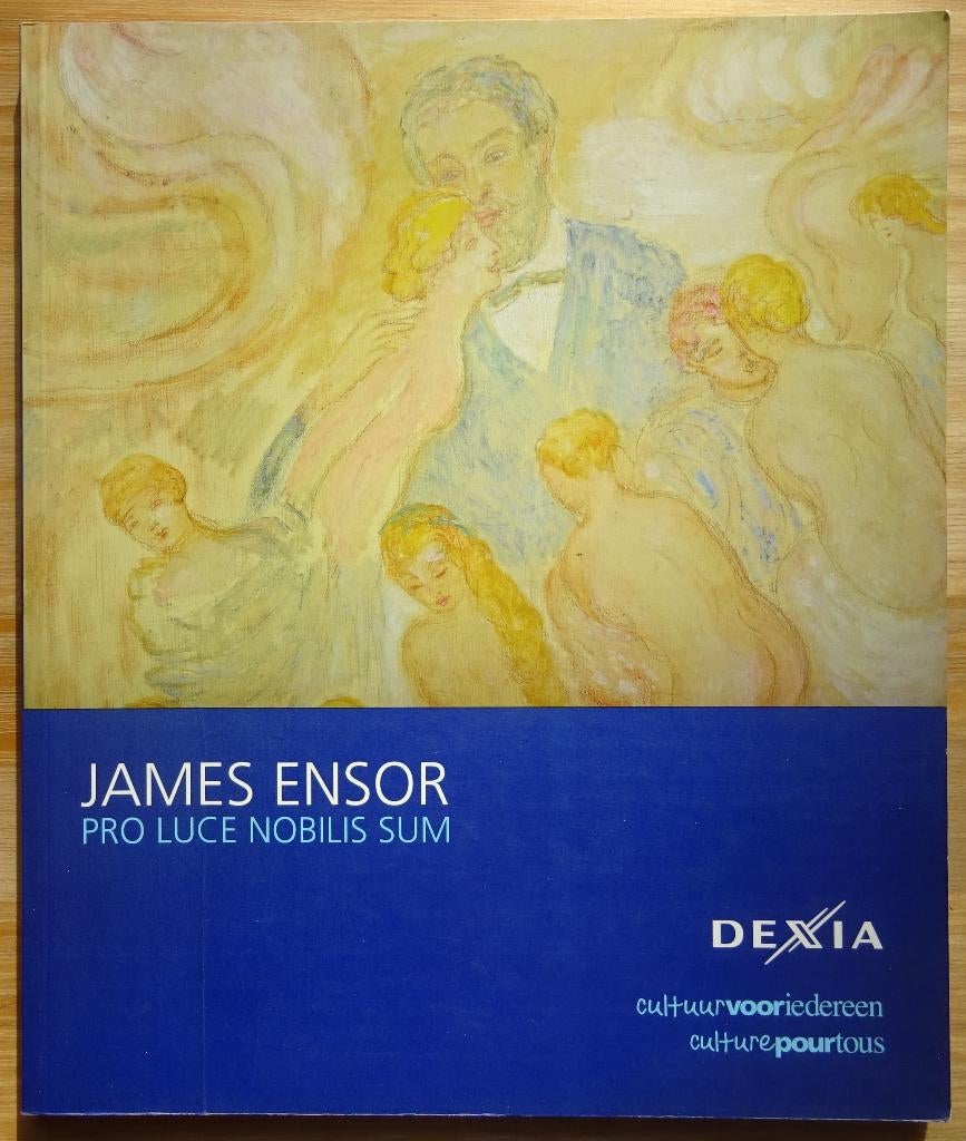 James Ensor, 2009 Pro Luce Nobilis Sum, Dexia, Livres, Enlèvement ou Envoi, Utilisé, Peinture et dessin
