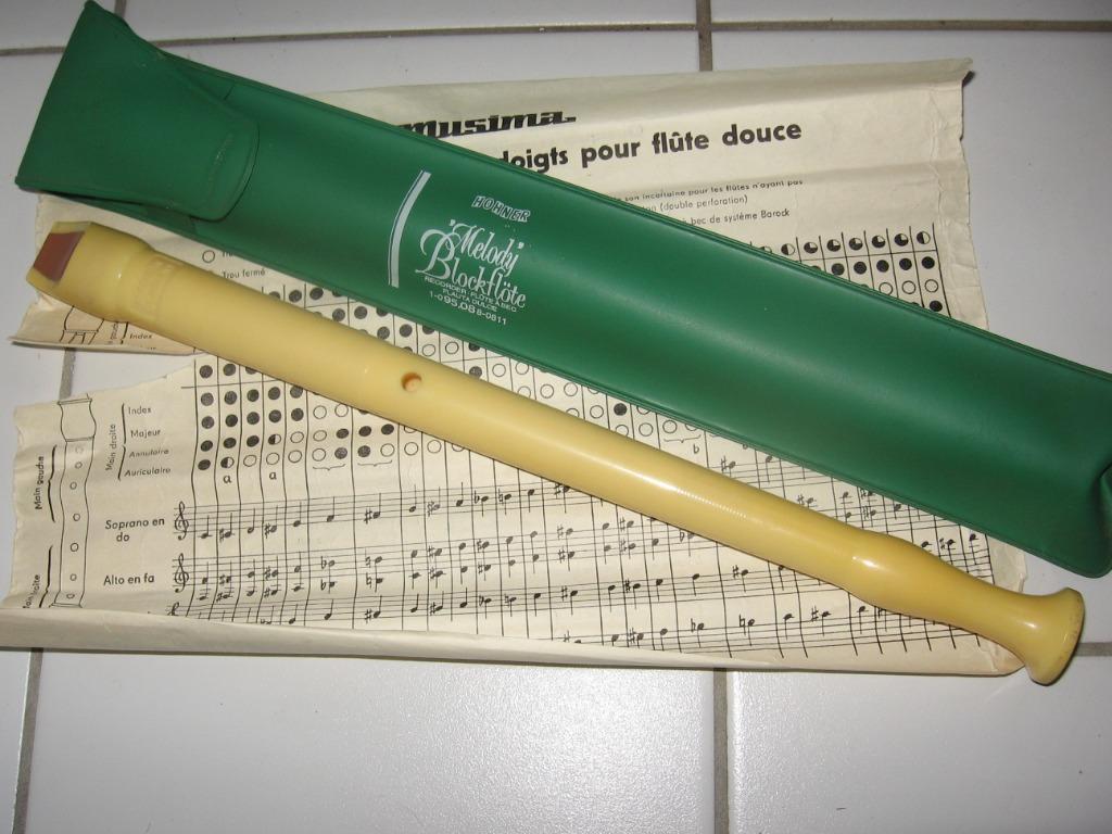 Flûte à bec HOHNER Melody Blockflöte, Musique & Instruments, Instruments à vent | Flûtes à bec, Enlèvement ou Envoi, Neuf, Autres types